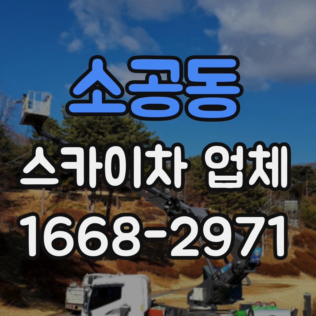 소공동 스카이차 업체