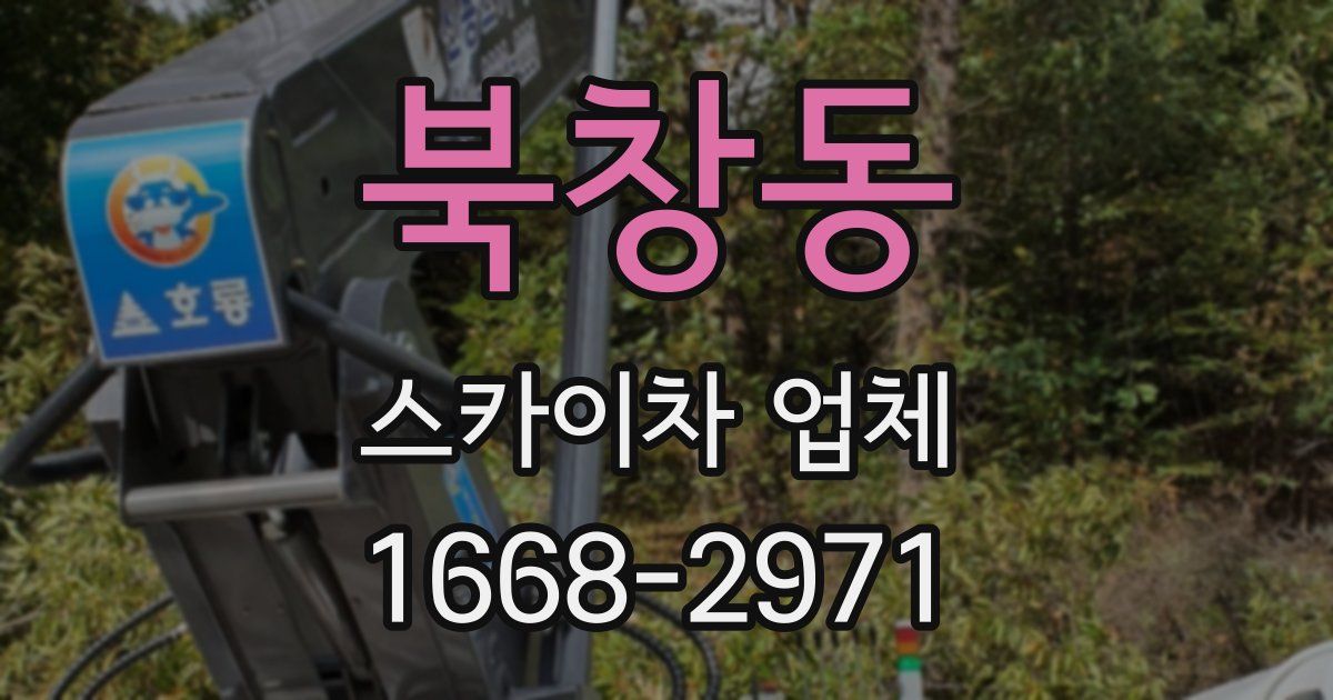 북창동 스카이차 업체