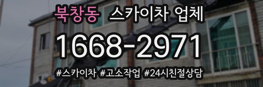 북창동 스카이차 업체