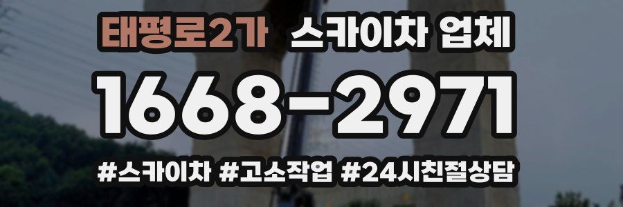 태평로2가 스카이차 업체