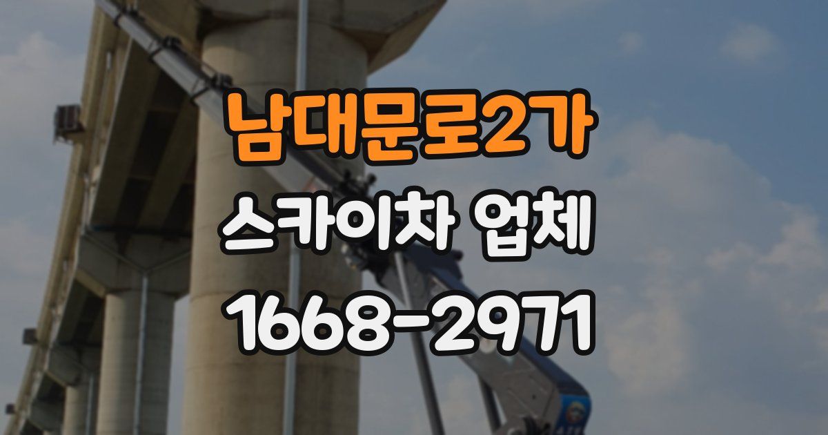 남대문로2가 스카이차 업체