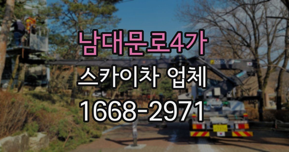 남대문로4가 스카이차 업체