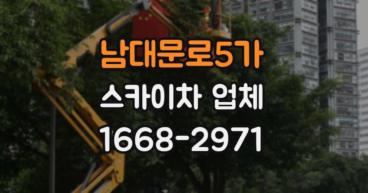 남대문로5가 스카이차 업체