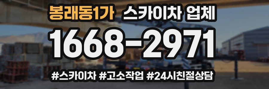 봉래동1가 스카이차 업체