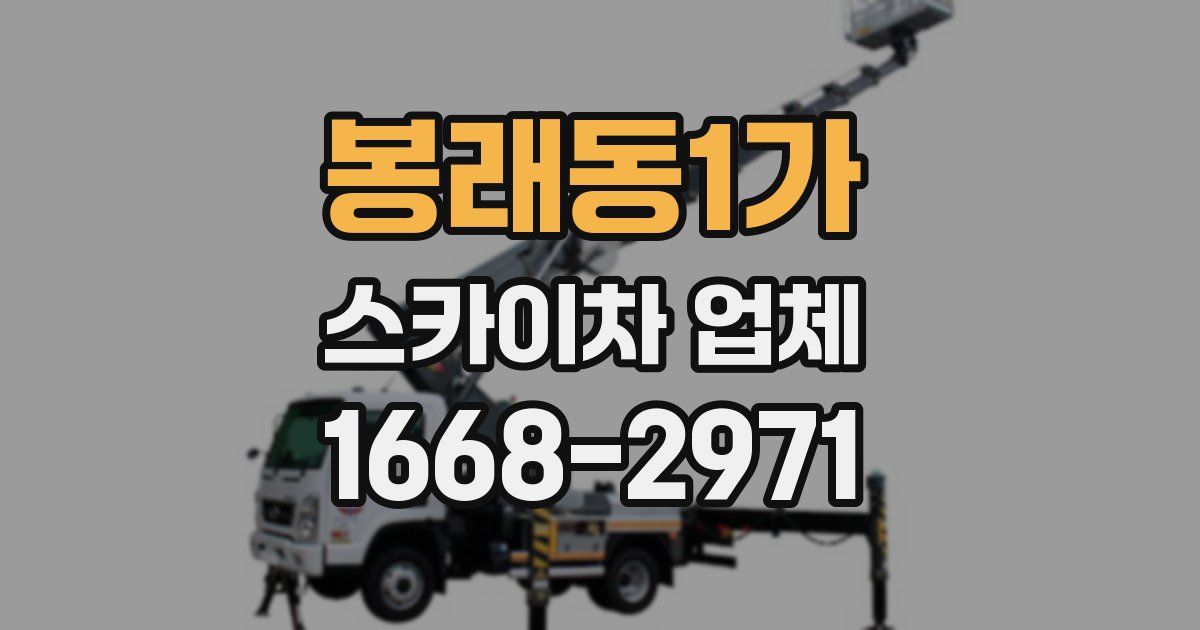 봉래동1가 스카이차 업체