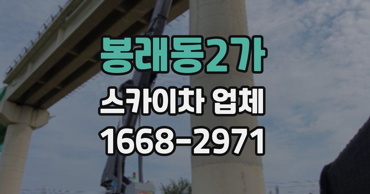 봉래동2가 스카이차 업체