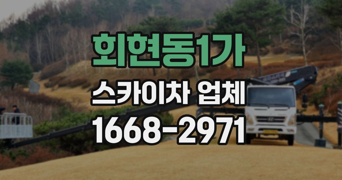 회현동1가 스카이차 업체