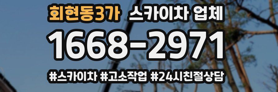 회현동3가 스카이차 업체