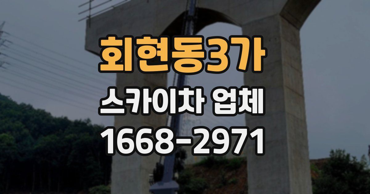 회현동3가 스카이차 업체