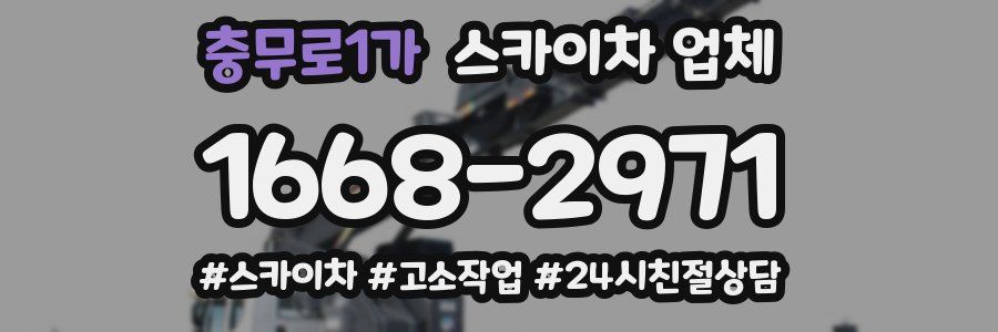 충무로1가 스카이차 업체