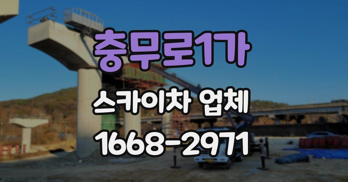 충무로1가 스카이차 업체