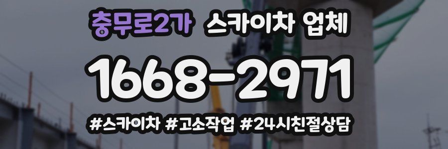 충무로2가 스카이차 업체