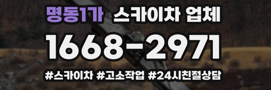 명동1가 스카이차 업체