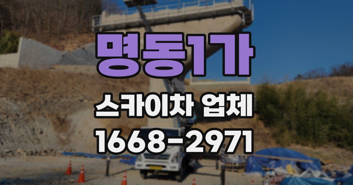 명동1가 스카이차 업체