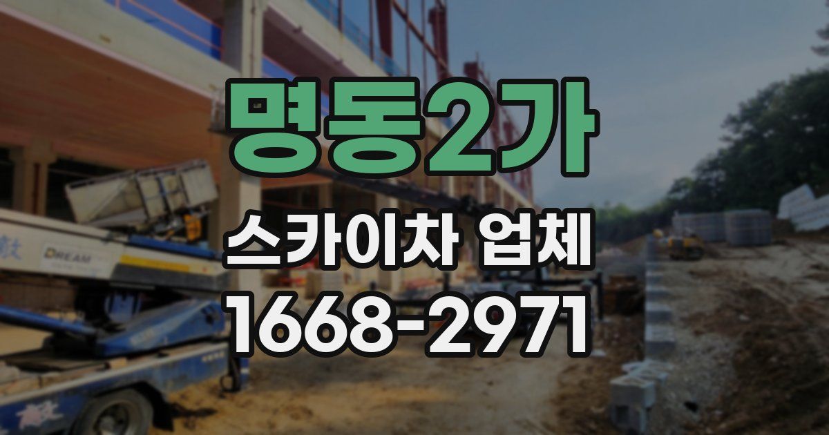 명동2가 스카이차 업체