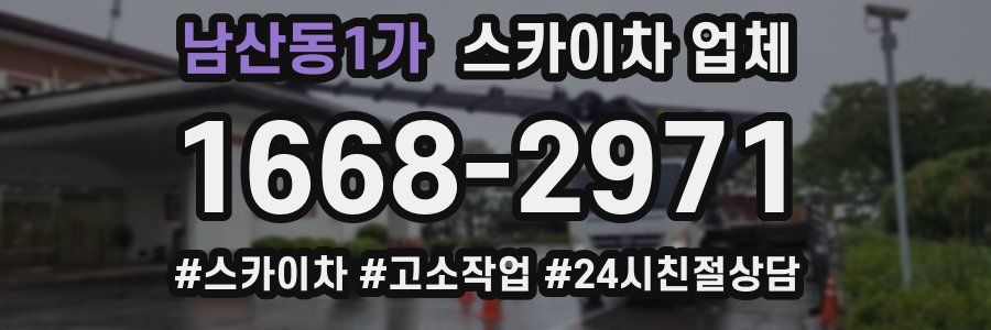 남산동1가 스카이차 업체