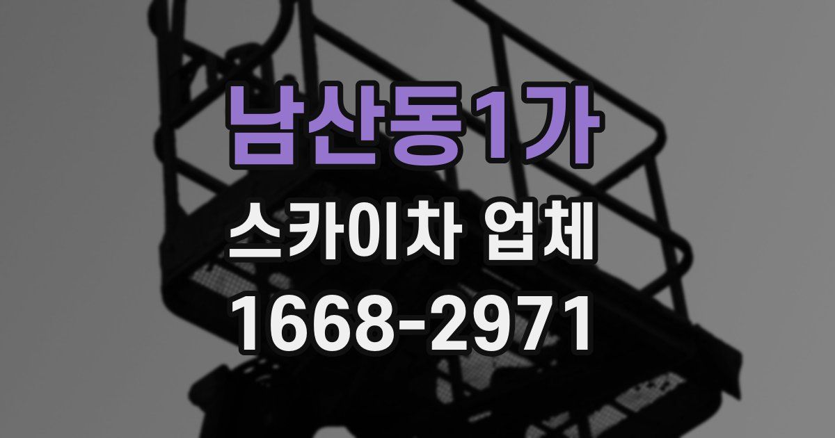 남산동1가 스카이차 업체