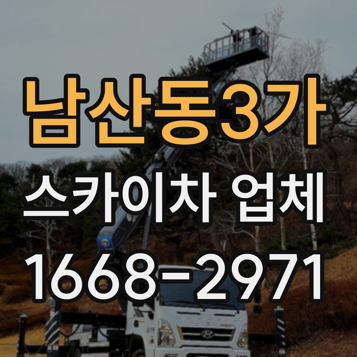남산동3가 스카이차 업체
