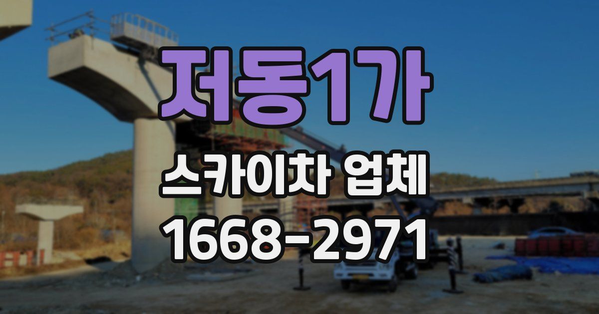 저동1가 스카이차 업체