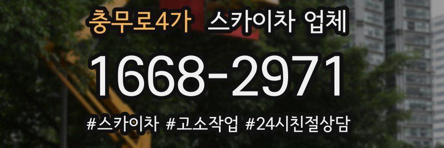 충무로4가 스카이차 업체