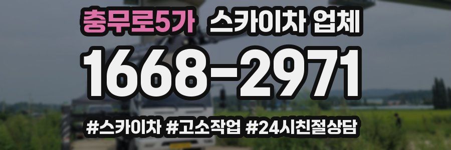 충무로5가 스카이차 업체