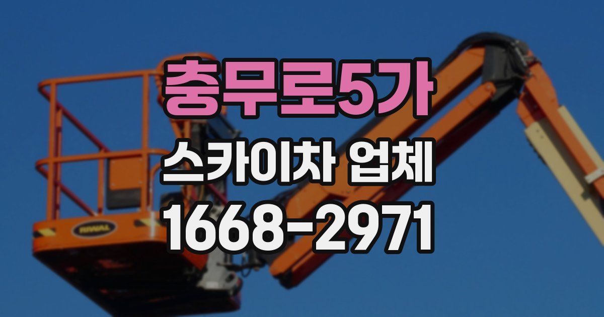 충무로5가 스카이차 업체
