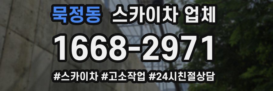 묵정동 스카이차 업체