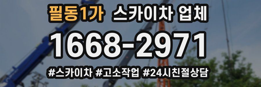 필동1가 스카이차 업체