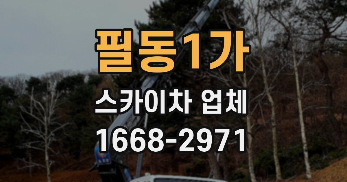 필동1가 스카이차 업체