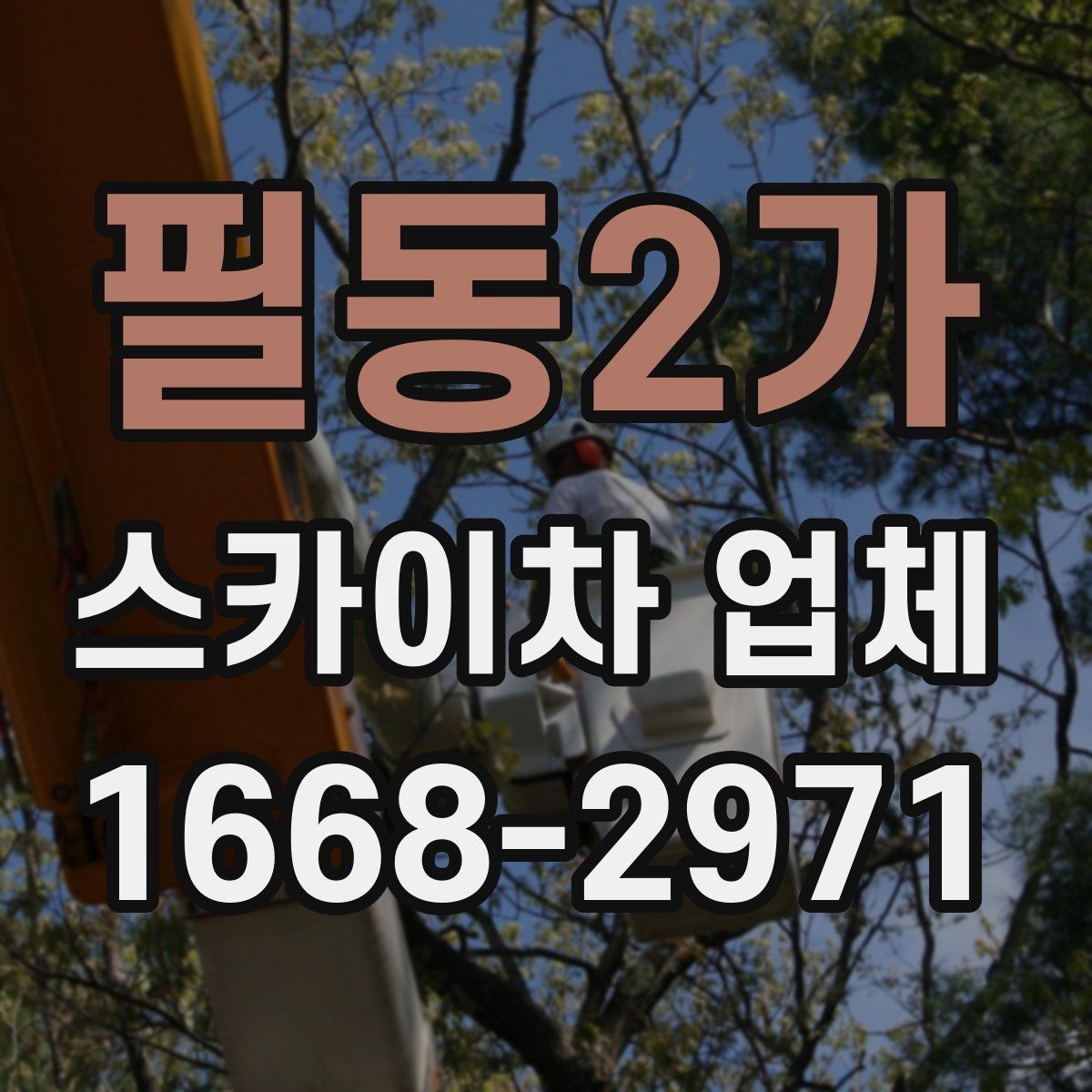 필동2가 스카이차 업체 이용 절차를 간단히 정리