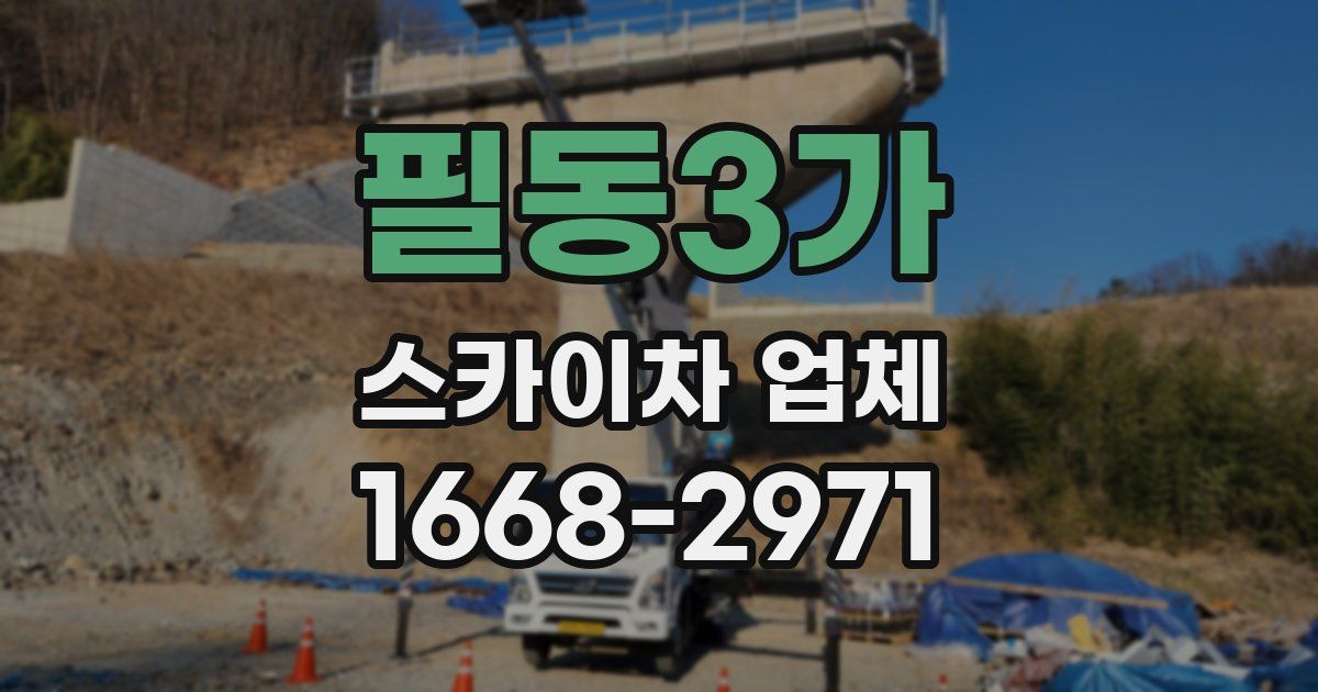 필동3가 스카이차 업체