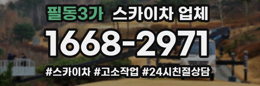 필동3가 스카이차 업체