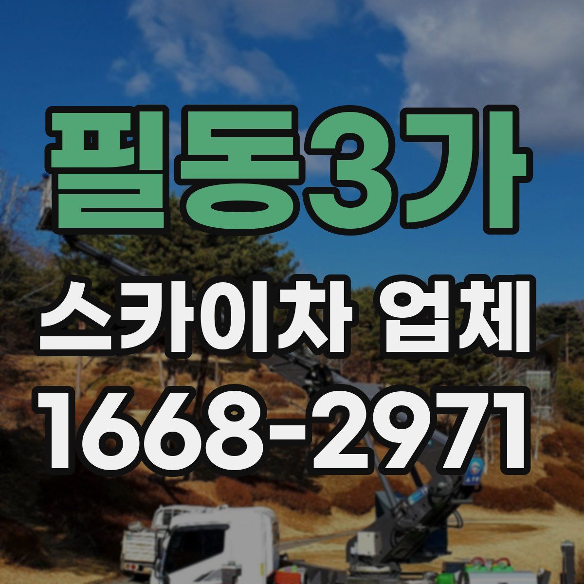 필동3가 스카이차 업체