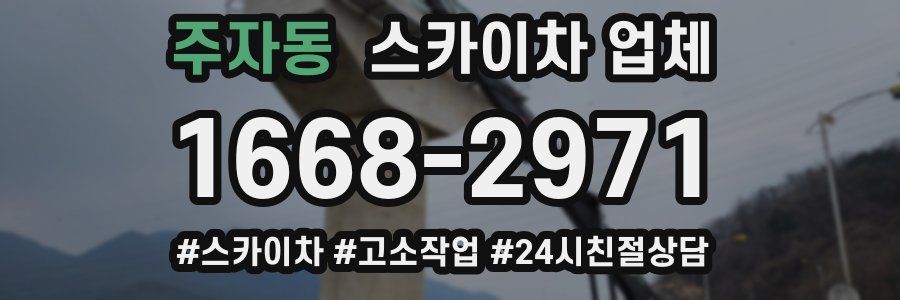 주자동 스카이차 업체