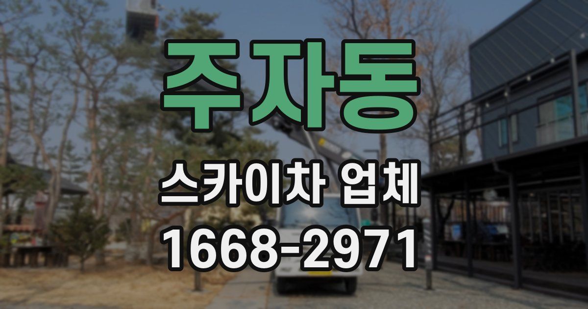 주자동 스카이차 업체