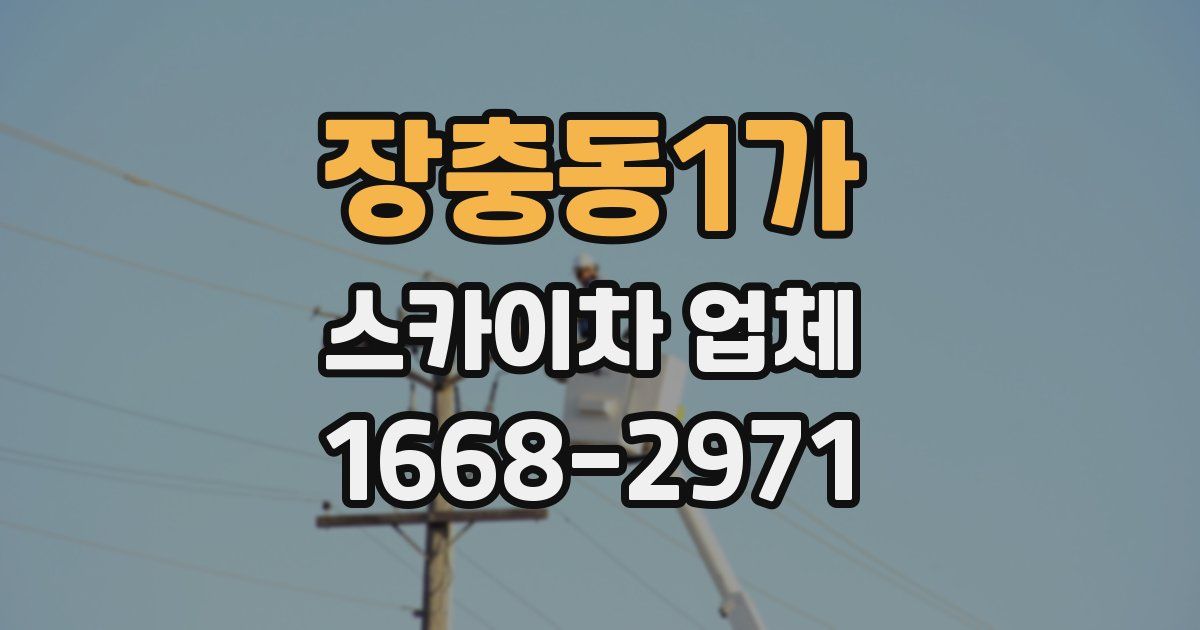 장충동1가 스카이차 업체