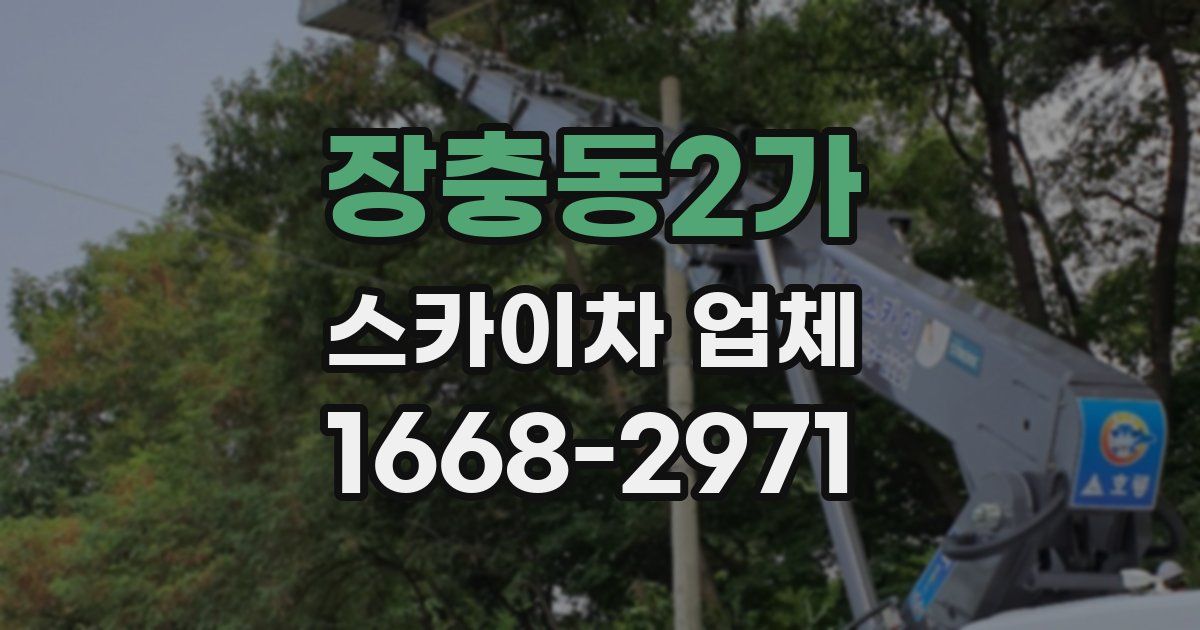 장충동2가 스카이차 업체