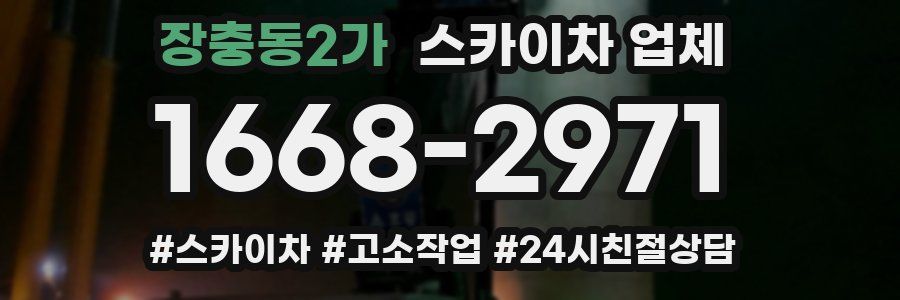 장충동2가 스카이차 업체