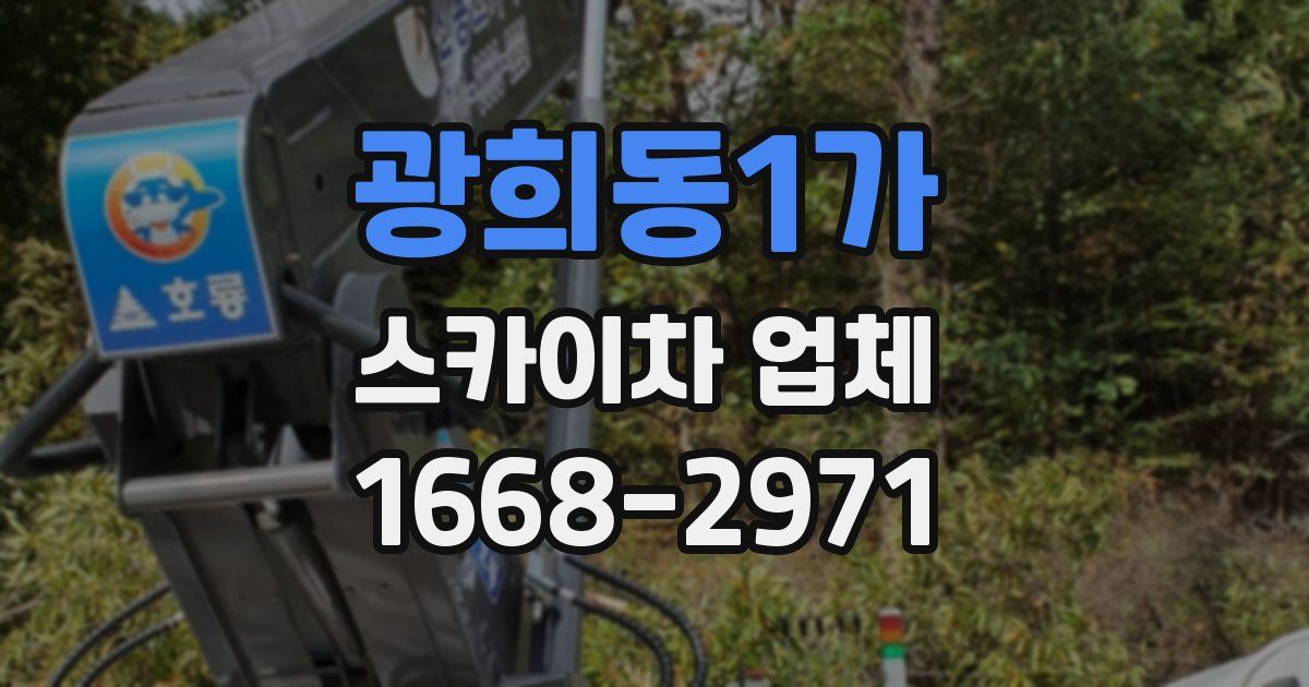 광희동1가 스카이차 업체