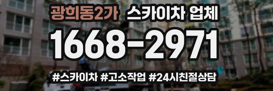 광희동2가 스카이차 업체