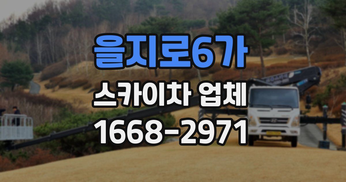 을지로6가 스카이차 업체