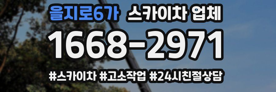 을지로6가 스카이차 업체