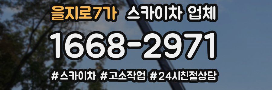 을지로7가 스카이차 업체