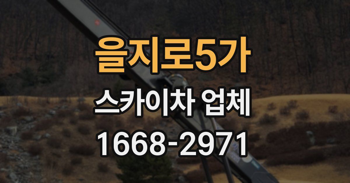 을지로5가 스카이차 업체