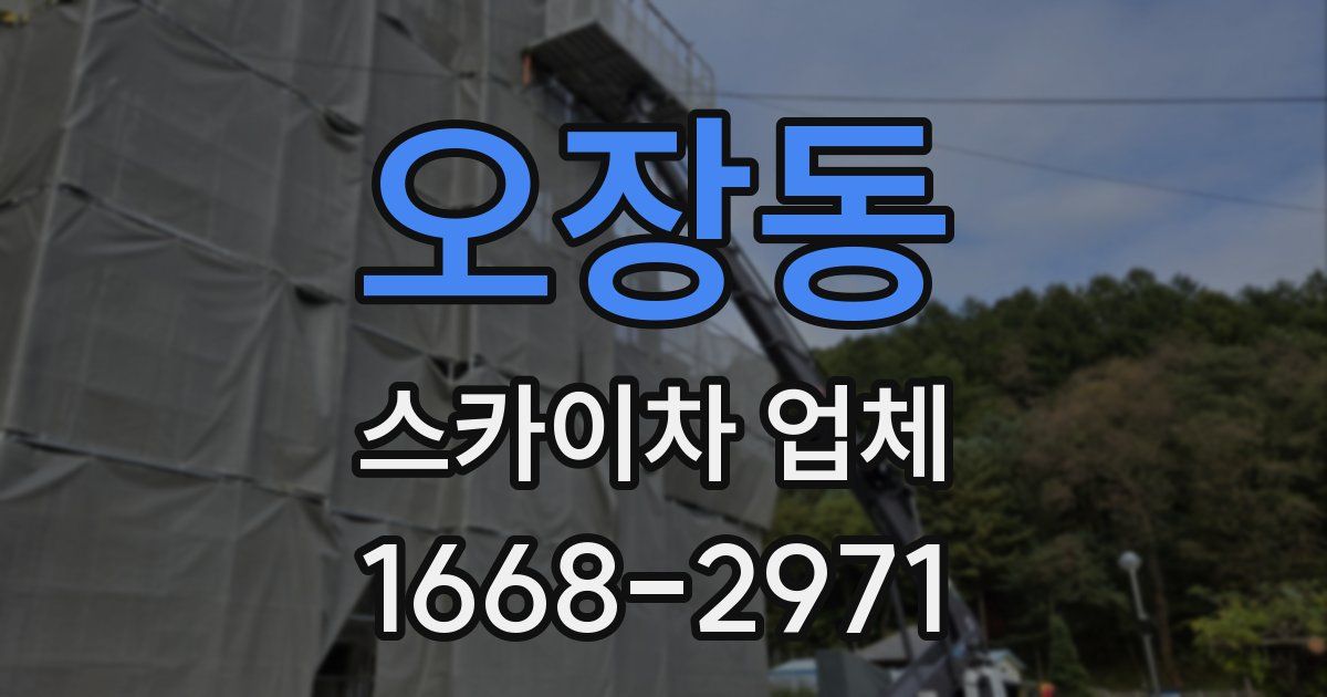 오장동 스카이차 업체