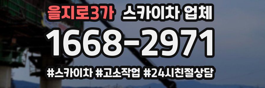 을지로3가 스카이차 업체