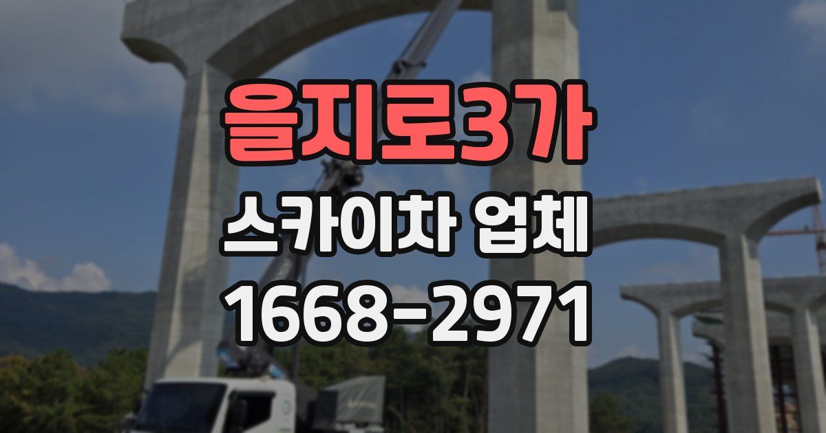 을지로3가 스카이차 업체