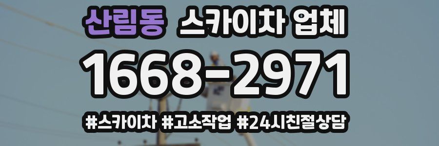 산림동 스카이차 업체