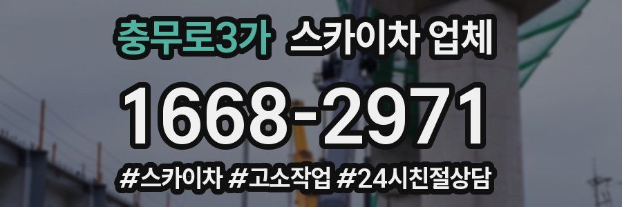 충무로3가 스카이차 업체