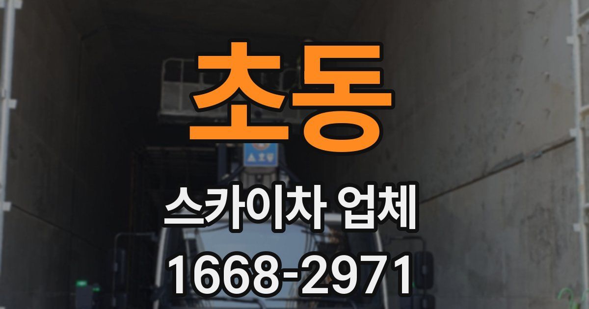 초동 스카이차 업체